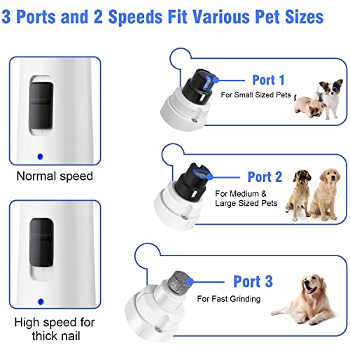 Casfuy Dog Nail Grinder with LED Light - Upgraded 2-Speed Electric Pet Nail Trimmer Powerful Painless Paws Grooming & Smoothing for Small Medium Large Dogs & Cats (White) - Thumbnail 3
