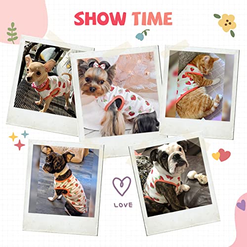 Hrttsy Small Dog Shirt Cute Puppy Cat T Shirt Clothes Soft Cotton Sleeveless Tee Shirts For Small Dogs Cats Spring Summer Doggy Vest Tee Shirt Chihuahua Yorkie Shih Tzu Pet Apparels(Red Strawberry,Xs) #TOP2