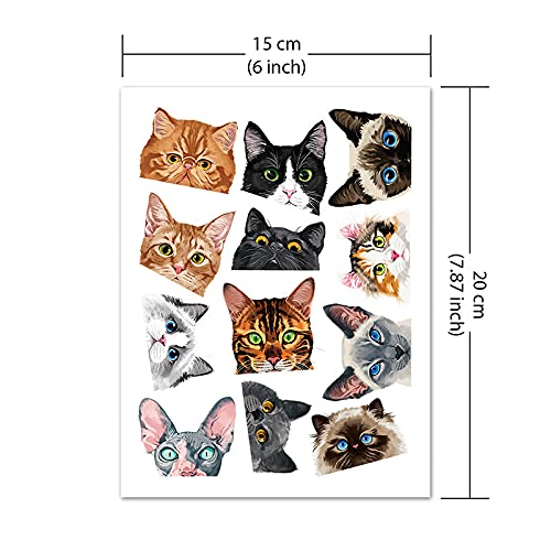Wirester Temporary Tattoo Stickers For Girls Boys Kids Adults, Fake Tattoos On Face Hand Neck Wrist Party Favor Body Art, Tattoo Sheet 6 X 7.87 Inch - Cat Designs (Tuxedo, Tabby Kitten, Ragdoll Cat) #TOP1