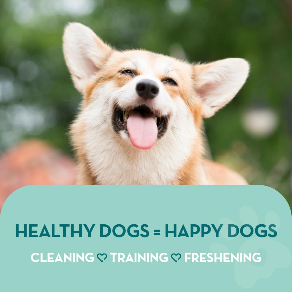 The Healthy Dog Co Eliminador de Manchas y olores de Mascotas Totalmente Natural para Perros y Gatos | Mata gérmenes, Elimina vómitos, orina, heces, Baba, olores | 1 litro