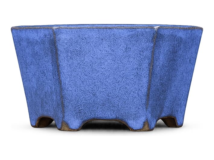 Maceta bonsai hexagonal de gres esmaltado azul 12x12x7,5 cm - YP45