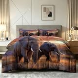 Bettdecke ohne Bezug Tiere Fotografie135x200cm 4 Jahreszeiten, Waschbar Warme Hautfreundlich Schlafdecke, Savanne Elefanten Sonnenuntergang Ganzjahresdecke Steppdecke mit 2 Kissenbezügen 80x80 cm