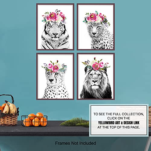 Big Cat Wall Art & Decor - Jungle Wall Decor - Lion Wall Decor - Cheetah Leopard Tiger Poster Set - Kids Boys Bedroom Little Girls Room Nursery Toddler Wall Art - Safari Decor - Baby Shower Gift #TOP5