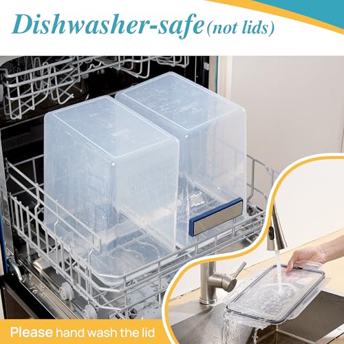 Vtopmart 9.5L Extra Large Container (2pk)