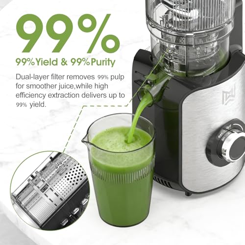 Image of Stainless Steel Cold Press Juicer, 5.0 Inch Wide Feed Chute