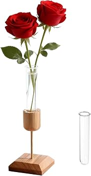 Plant Terrarium Wooden Stand with 2 Test Tubes Planters for Indoor Plants Table Decor