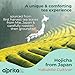AprikaLife Organic Hojicha Green Tea Powder, USDA & JAS Roasted Green Tea from Japan, Authentic Japanese Houjicha Perfect for Lattes, Smoothies & Baking, 3.5 oz/100g