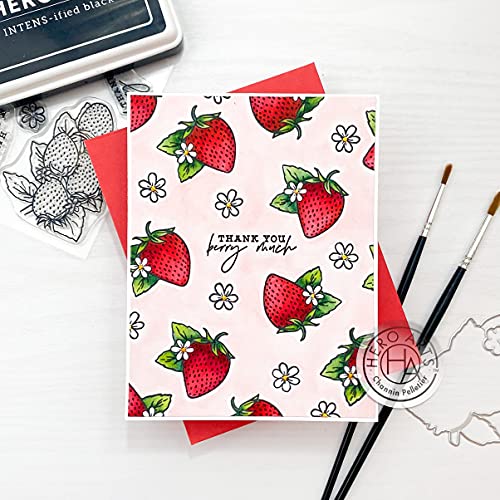 Hero Arts Cm540 Hero Florals Strawberries Line Art Clear Stamp Set #TOP6