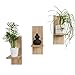 Produktbild Mex-System Blumenregal 3er Set Stilvolles Wandregal Holz für Ihre Pflanzen und Wanddeko (Artisan Eiche)