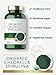 Carlyle Organic Chlorella Spirulina Tablets | 1300 Count | 50/50 Blend | Non-GMO and Gluten Free Supplement