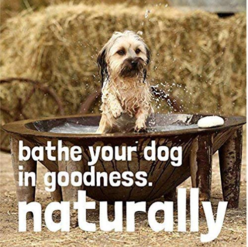 WashBar Natural Dog Soap Bar - Natural Dog Shampoo Bar and Dog Shampoo for Smelly Dogs with Sensitive Skin, Easier to… - Image 2