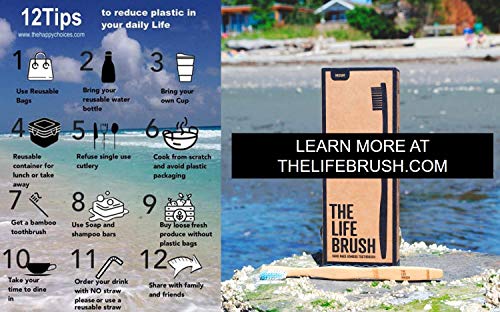 La vita Brush - 4 pennelli