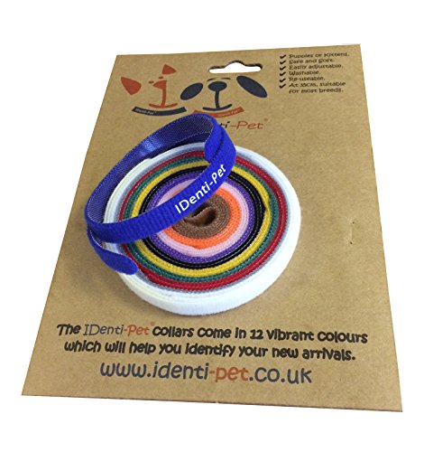 Vet Fleece Halsband für Kätzchen und Hundewelpen, weich, verstellbar und wiederverwendbar, 12 Stück