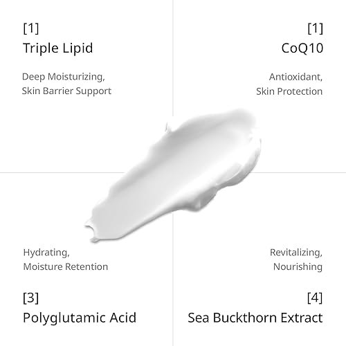 Miniatura 3 de Triple Lipid+Q10 Hidratante facial  Crema facial diaria con ceramidas y niacinamida para todo tipo de piel  Hidratante facial hidratante se dirige a