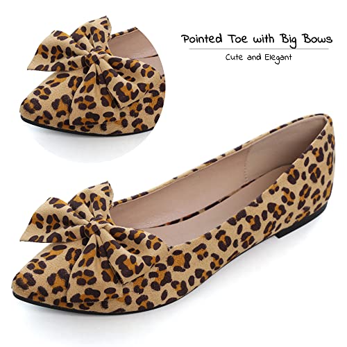 Image of Dear Time Women's Ballet Flats Dress Ballet Shoes Slip on for Office Work Comfortable Shoes