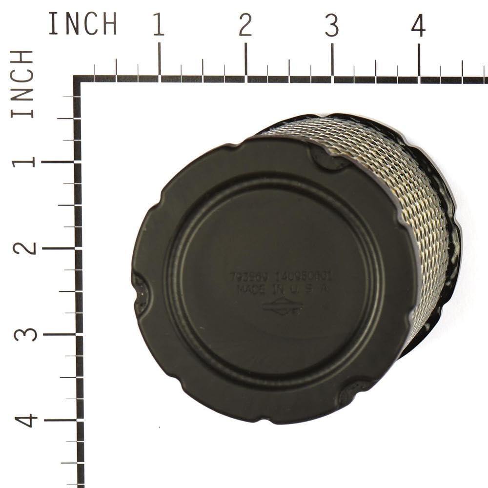 Briggs & Stratton 793569 rund Air Filter Kartusche