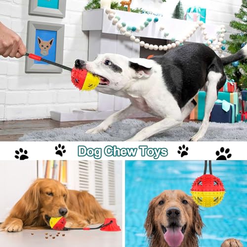 Jenilily Hundespielzeug mit Saugnapf, Spielzeug Hund Zahnbürste Spielzeug für Hund Ziehen, Kauen, Spielen