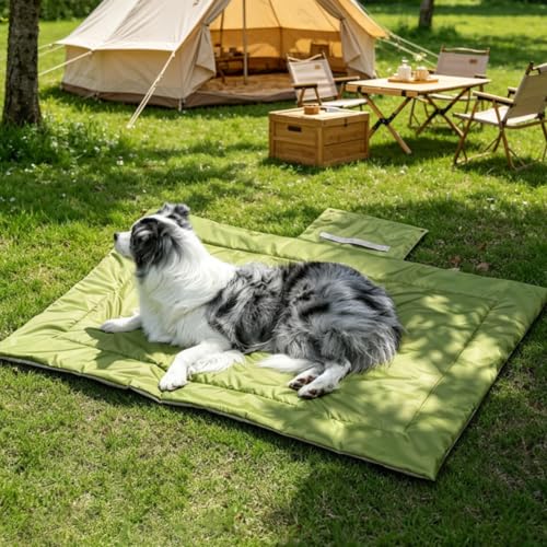 Cama viajera para perro con cojín plegable para vacaciones y camping 5