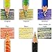 Koh-I-Noor Magic FX Pencils, 5-Pack - Original, Tropical, Neon, America and Fire (FA3405.5BC)
