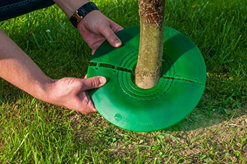 PlantaGard Baumschutz-Gitterhülle Freiwuchs | Fegeschutz | Mechanischer