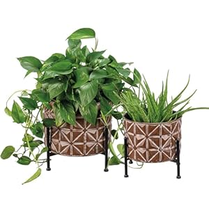 Primitives by Kathy Geometric Planter Stand Set Primitives by Kathy Geometric Planter Stand Set