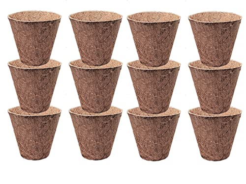 Deepthi 3-Inch Coco Coir Nursery Pots – Pack of 12 Biodegradable Seed Starter Cups – Organic Coir Peat Pots for Seedlings, Herbs, Indoor/Outdoor Gardening – Eco-Friendly Planting Pots