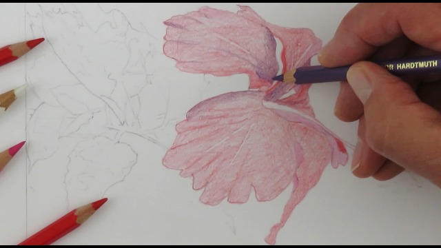 Amazon.com: Koh-I-Noor Polycolor Drawing Pencil Set, 24 Assorted