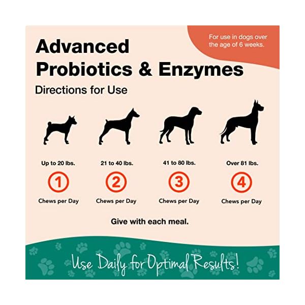 Veterinarian Strength Advanced Probiotics, Healthy Enzymes and PB6