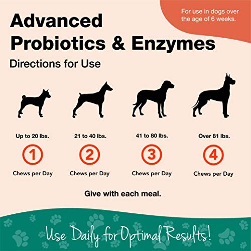 Veterinarian Strength Advanced Probiotics, Healthy Enzymes and PB6 Probiotic Supplement For Your
