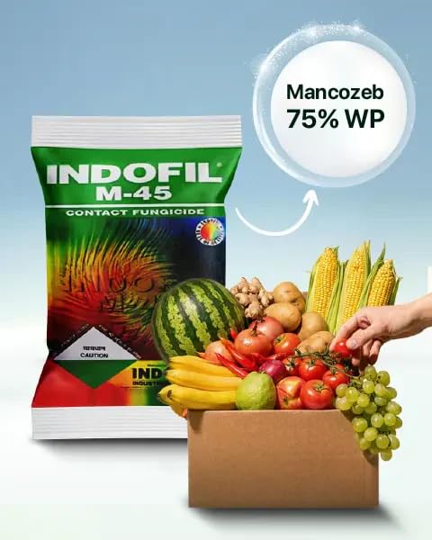 Image of INDO-FIL M-45 100gm + Hand Gloves | Fungicide for all type of Plants | Prevent Rottings and leaf Blights | No more Fungal disease.