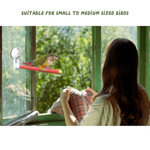 Image of 2Pcs Bird Perch Stand with Suction Cup, Wooden Parrot Shower and Window Perch Stand, Wall Bath Car Travel Perch Stand for Small and Medium Bird