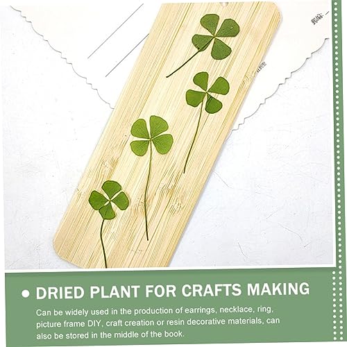 Ipetboom 24pcs Four Leaf Seco Artesanía DIY miniatura 2