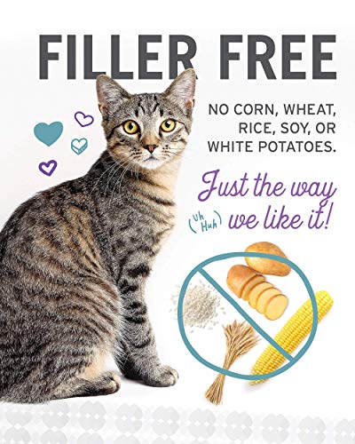 Image of I AND LOVE AND YOU Naked Essentials Canned Wet Cat Food - Variety Pack: Beef Recipe, Salmon+Chicken Recipe, Turkey Recipe, 3-Ounce, Pack of 12 Cans, variety pack pate; beef, salmon, turkey