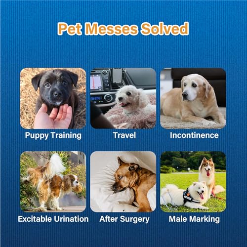 Image of Honeycare Disposable Male Wraps for Senior Dogs, Small Size, 40 Count, Super Absorbent, Breathable, Wetness Indicator, Super Deodorization, Cute Suit Suspenders Design (Pack of 8)
