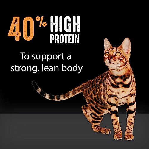 Crave 10164807 Grain Free Adult High Protein Natural Dry Cat Food thumb #5