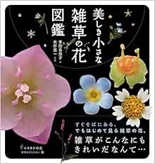 美しき小さな雑草の花図鑑 多田 多恵子 大作 晃一 本 通販 Amazon 美しき小さな雑草の花図鑑 多田 多恵子 大作 晃一 本 通販 Amazon
