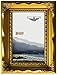 Imperial Frames 4 by 6-Inch/6 by 4-Inch Picture/Photo Frame, Gold Molding with Floral Designs