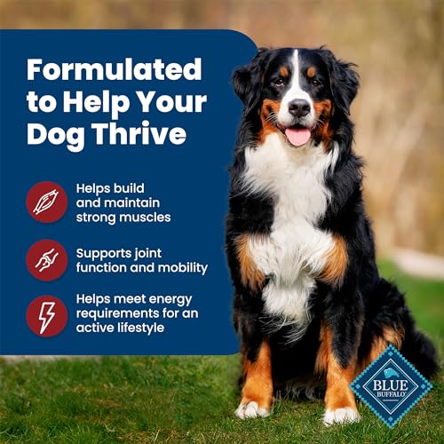 Blue Buffalo 804084 Life Protection Formula Adult Dry Dog Food, Helps Build And Maintain Strong Muscles, Made With Natural Ingredients, Beef & Brown Rice Recipe thumb #3