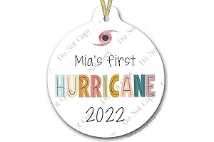 Baby's First Hurricane Ian Souvenir Ornament in Pastel Colors