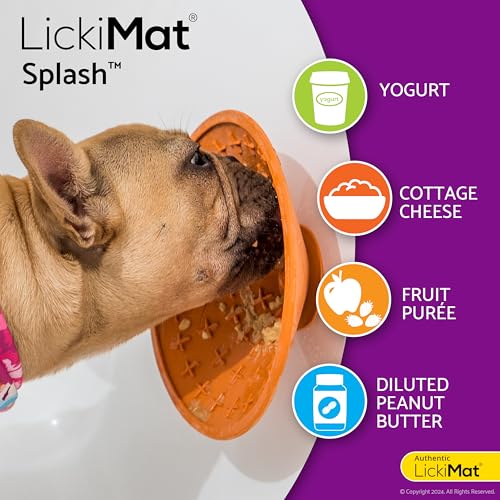 Procyon Hundebedarf Indus1 Licki Mat Splash Schleckmatte Leckerlischale, Einheitsgröße, neon grün