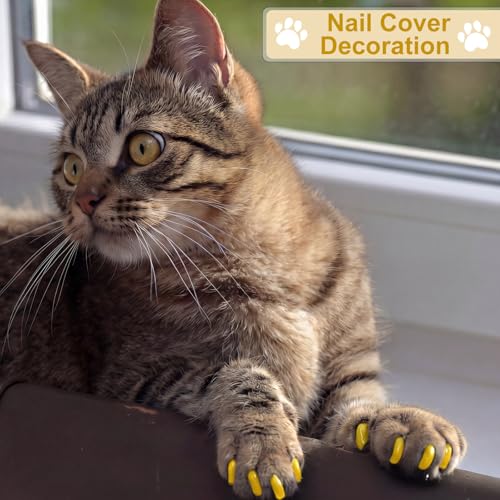 Image of 9 Pcs Cat Bathing Bag Set Cat Shower Bag Anti Bite and Scratch for Pet Grooming Washing Brush Comb Muzzle Nail Clipper Nail File Tick Tool (Yellow)