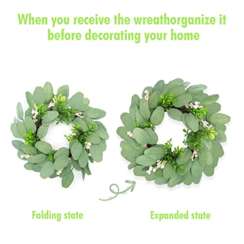 15 Inch Lambs Ear Wreath With Grapevine, Boxwood And White Berries, Small Everyday Greenery Wreath For Front Door Wall Window Farmhouse Spring And St Patricks Day Decor #TOP6