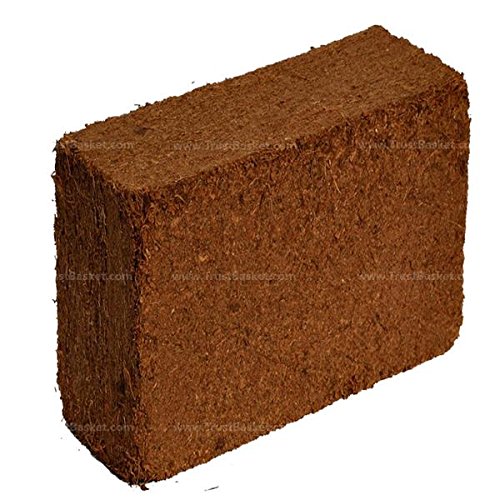 TrustBasket Cocopeat 5 kg Block | Expands Upto 75 litres of Powder| Hydroponic Plants, Kitchen Gardening and Terrace Gardening, Indoor Plants and Outdoor Plants