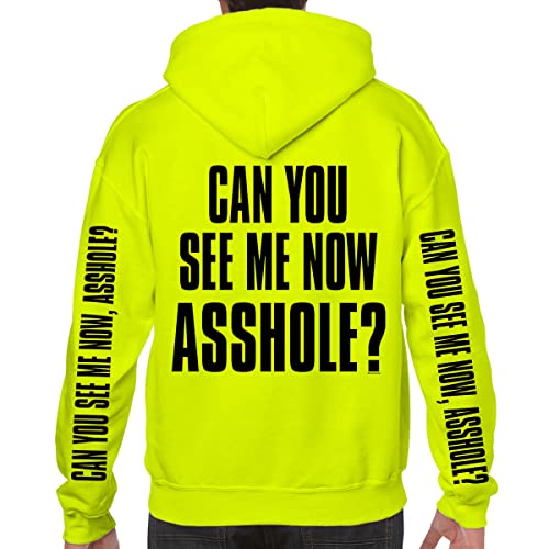 Can You See Me Now A**Hole? Pullover Hoodie