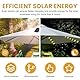 Solar Sonnenschirm Lichterkette,Sonnenschirm Beleuchtung mit Fernbedienung,LED Sonnenschirm Lichter,8 Modus,104 LEDs,Umbrella Lights,IP67 Wasserdichte Gartenleuchten,Baldachin Dekorative Strip Lichter