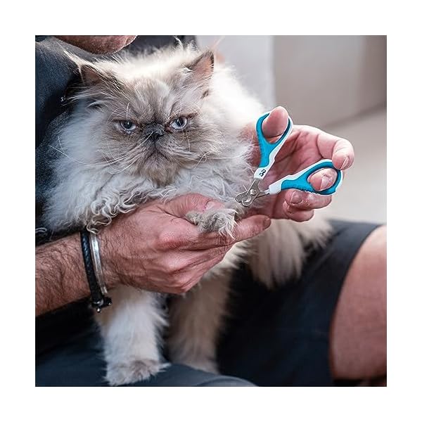 Mr. Pen - Katzennagelknipser, Katzennagelschneider, Katzenkrallenschneider, Kätzchen-Nagelknipser, Katzen-Nagelknipser für Nägel, Haustier-Nagelknipser für Katzen, Katzen-Nagelschneider – Bild 5