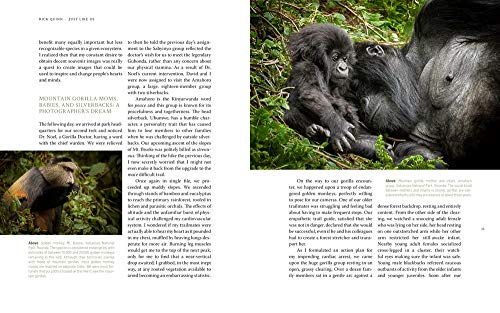 Just Like Us: A Veterinarian's Visual Memoir of Our Vanishing Great Ape Relatives