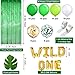 Birthday Decorations Set, include Green Foil Fringe Curtain, Wild One Balloons, Palm Leaves, Latex Balloons, Confetti Balloons, Adhesive Dots and Strip Tape for Party Supplies