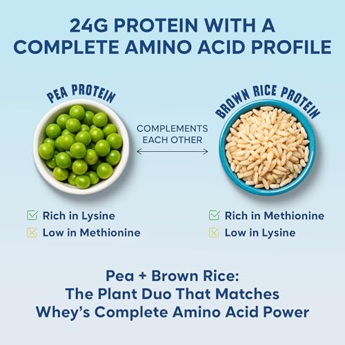 Image of Foodstrong Gut Friendly Plant Protein - Vanilla | 24g Complete Plant Protein with Probiotics, Digestive Enzymes, Prebiotics & Indian Herbs | Vegan | No Sugar | 6 Sachets, 240g