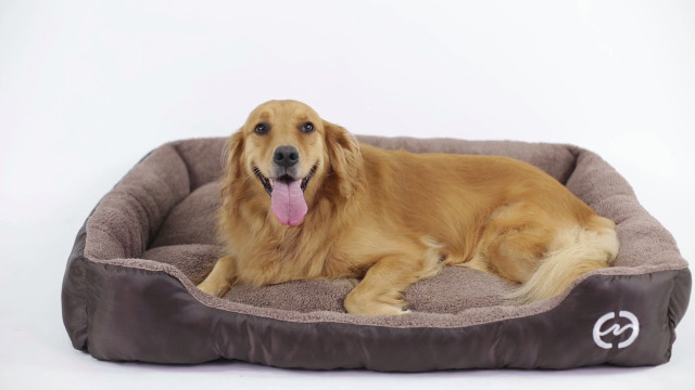 CLOUDZONE Dog Beds for Large Dogs, Large Dog Bed Machine Washable Rectangle Breathable Soft Padding with Nonskid Bottom… - Image 8